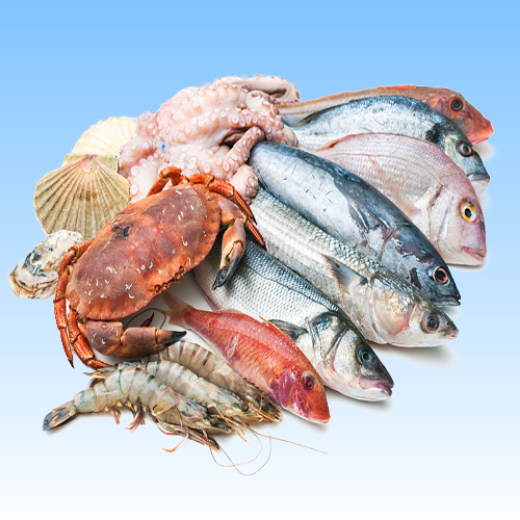 รูปภาพสำหรับหมวดหมู่นี้ Seafood