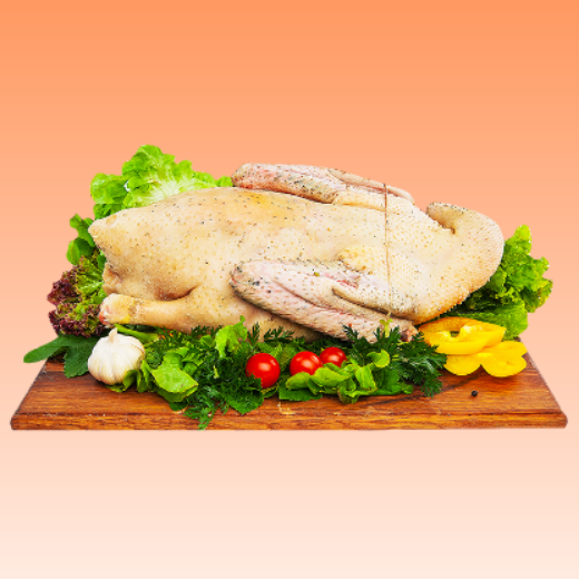 Picture for category Duck