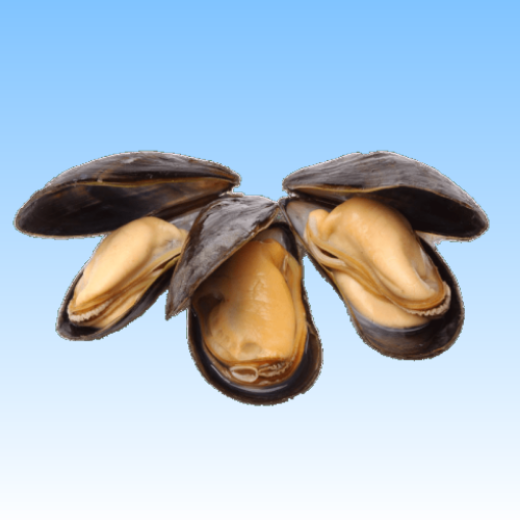 Picture for category Deli Shellfish