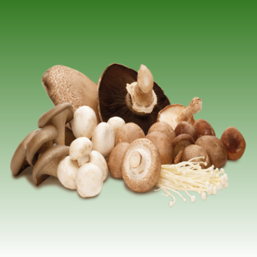 รูปภาพสำหรับหมวดหมู่นี้ Fungus