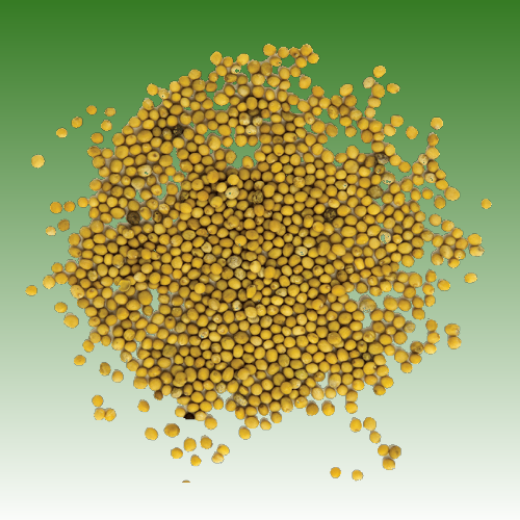 รูปภาพสำหรับหมวดหมู่นี้ Other Vegetable