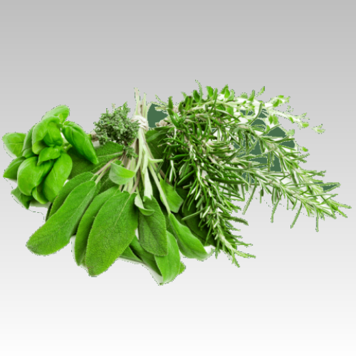 รูปภาพสำหรับหมวดหมู่นี้ Leaves