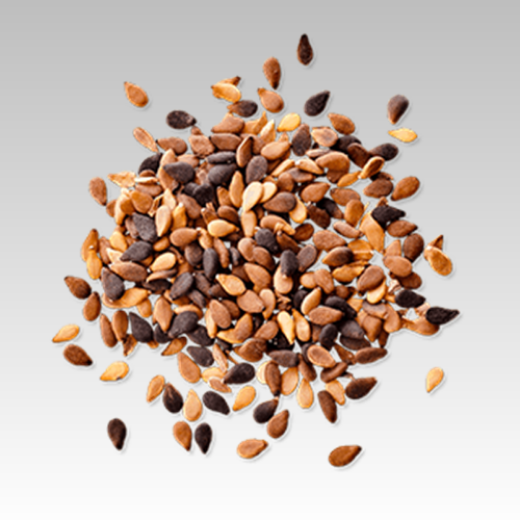 รูปภาพสำหรับหมวดหมู่นี้ Seeds